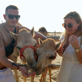 Photo from سفاري بدوي تراثي فاخر في واحة المرموم عند المساء in دبي: Gallery Photo 3pjg4q