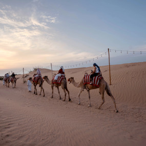 Photo from سفاري بدوي تراثي فاخر في واحة المرموم عند المساء in دبي: Gallery Photo zg4xy1