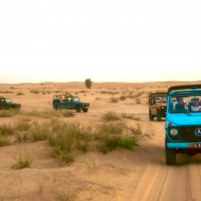 Photo from سفاري بدوي تراثي فاخر في واحة المرموم عند المساء in دبي: Gallery Photo 3qeo5e