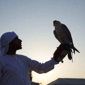 Photo from سفاري بدوي تراثي فاخر في واحة المرموم عند المساء in دبي: Gallery Photo 35yo04