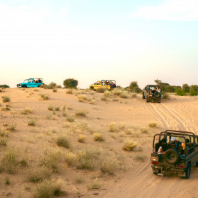 Photo from سفاري بدوي تراثي فاخر في واحة المرموم عند المساء in دبي: Gallery Photo 3e7o90