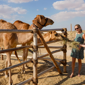 Photo from سفاري بدوي تراثي فاخر في واحة المرموم عند المساء in دبي: Gallery Photo zm0px5