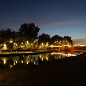 Photo from سفاري بدوي تراثي فاخر في واحة المرموم عند المساء in دبي: Gallery Photo 3yopgq