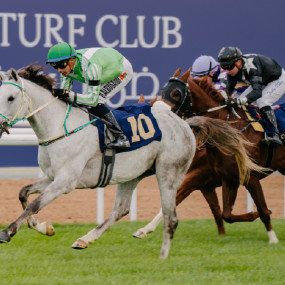 Photo from الحديقة  في مضمار نادي  أبوظبي in أبوظبي: Gallery Photo 3e755m