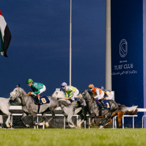 Photo from الحديقة  في مضمار نادي  أبوظبي in أبوظبي: Gallery Photo 3bj88g