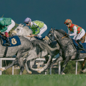 Photo from الحديقة  في مضمار نادي  أبوظبي in أبوظبي: Gallery Photo z94117