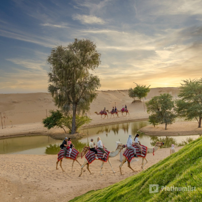 zg4k27 استديو الصور :دبي في رمضان 2025 في واحة المرموم zg4k27 استديو الصور :دبي في رمضان 2025 في واحة المرموم