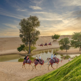 zg4k27 استديو الصور :دبي في رمضان 2025 في واحة المرموم zg4k27 استديو الصور :دبي في رمضان 2025 في واحة المرموم