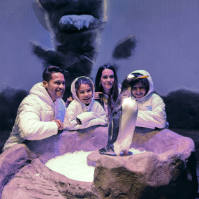 Photo from Dubai Aquarium & Underwater Zoo - Regular Pass in Dubai: Gallery Photo n0v876