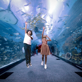 Photo from Dubai Aquarium & Underwater Zoo - Regular Pass in Dubai: Gallery Photo 38yvb6