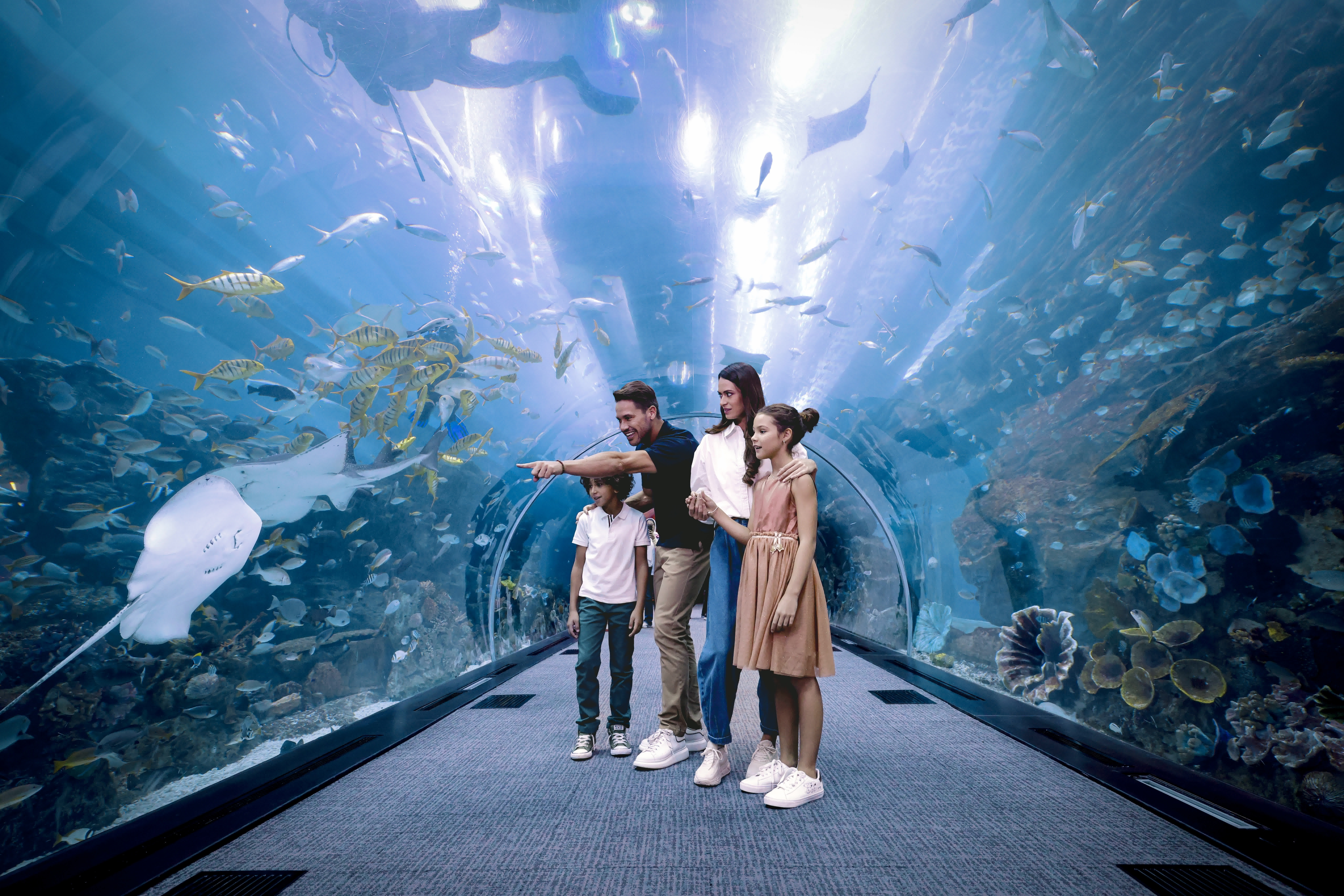 Photo from Dubai Aquarium & Underwater Zoo - Regular Pass in Dubai: Gallery Photo 3pjeby