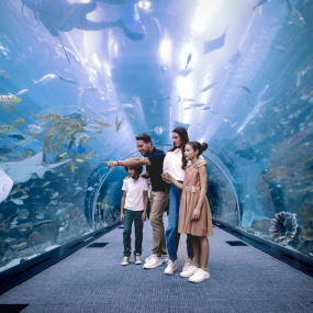Dubai Aquarium & Underwater Zoo - Regular Pass in Dubai: Gallery Photo 3pjeby