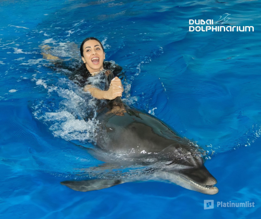 Swimming With Dolphins - Dubai Dolphinarium in Dubai: Gallery Photo zv65b0