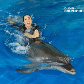 Swimming With Dolphins - Dubai Dolphinarium in Dubai: Gallery Photo zv65b0
