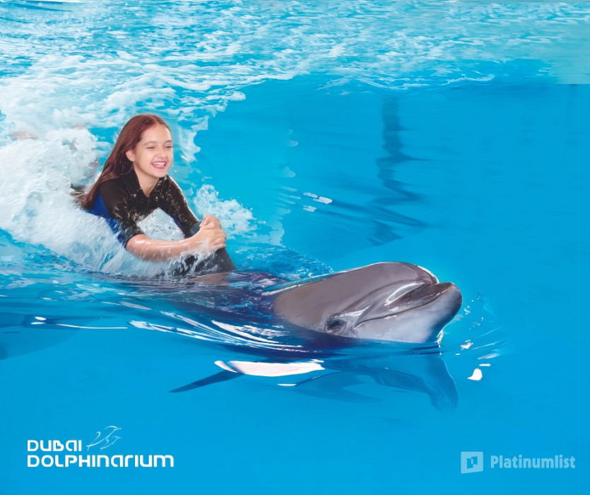 Swimming With Dolphins - Dubai Dolphinarium in Dubai: Gallery Photo 38yvg9
