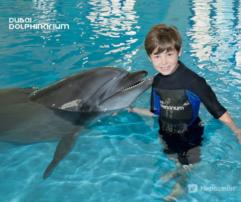 Swimming With Dolphins - Dubai Dolphinarium in Dubai: Gallery Photo 3pjem0