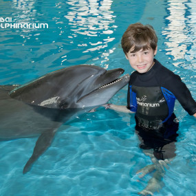 Swimming With Dolphins - Dubai Dolphinarium in Dubai: Gallery Photo 3pjem0