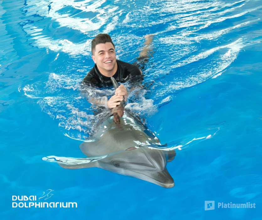 Swimming With Dolphins - Dubai Dolphinarium in Dubai: Gallery Photo zg4km8