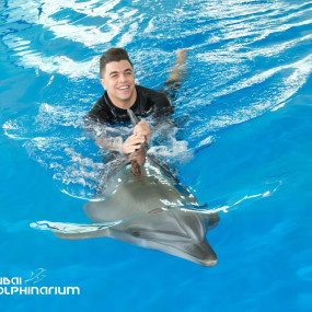 Swimming With Dolphins - Dubai Dolphinarium in Dubai: Gallery Photo zg4km8