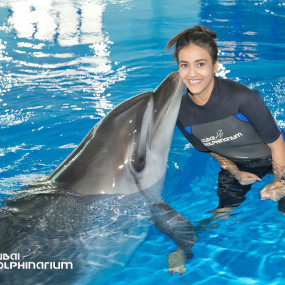 Photo from Swimming With Dolphins - Dubai Dolphinarium in Dubai: Gallery Photo 38yvgj
