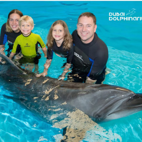 Photo from Swimming With Dolphins - Dubai Dolphinarium in Dubai: Gallery Photo 3pjemx