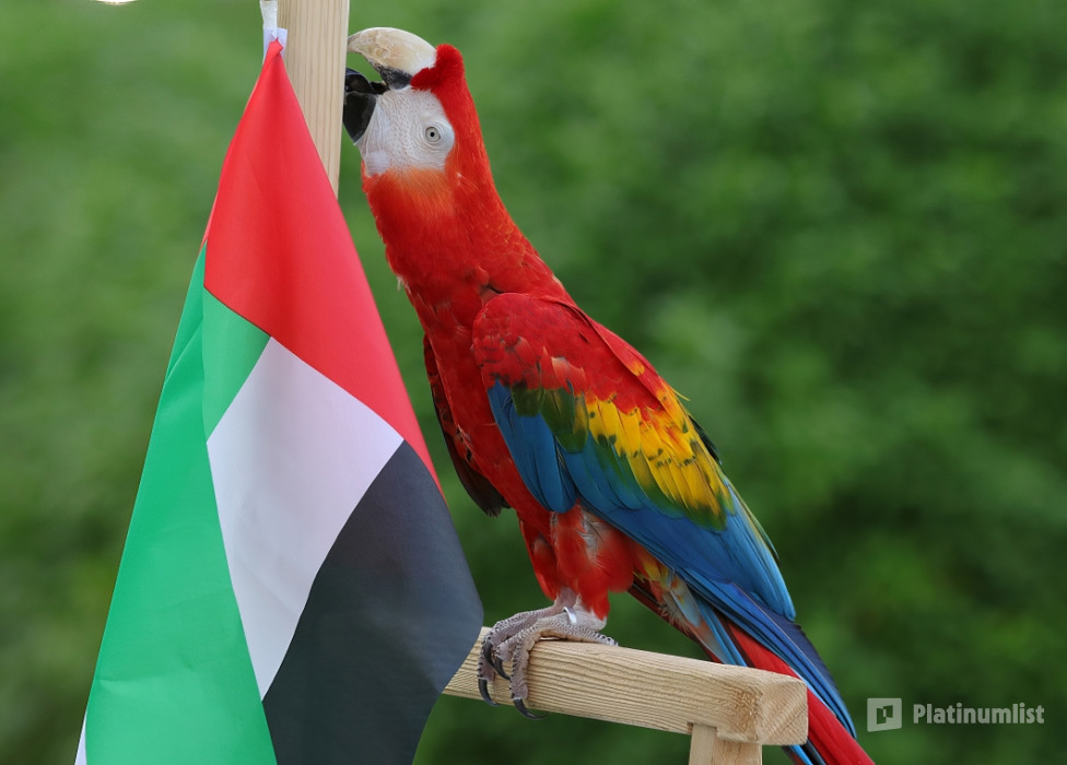 3qebm8 استديو الصور :دبي في معرض الطيور الاستوائية - دبي دولفيناريوم