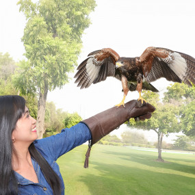 Photo from معرض الطيور الاستوائية - دبي دولفيناريوم in دبي: Gallery Photo 3e75pq