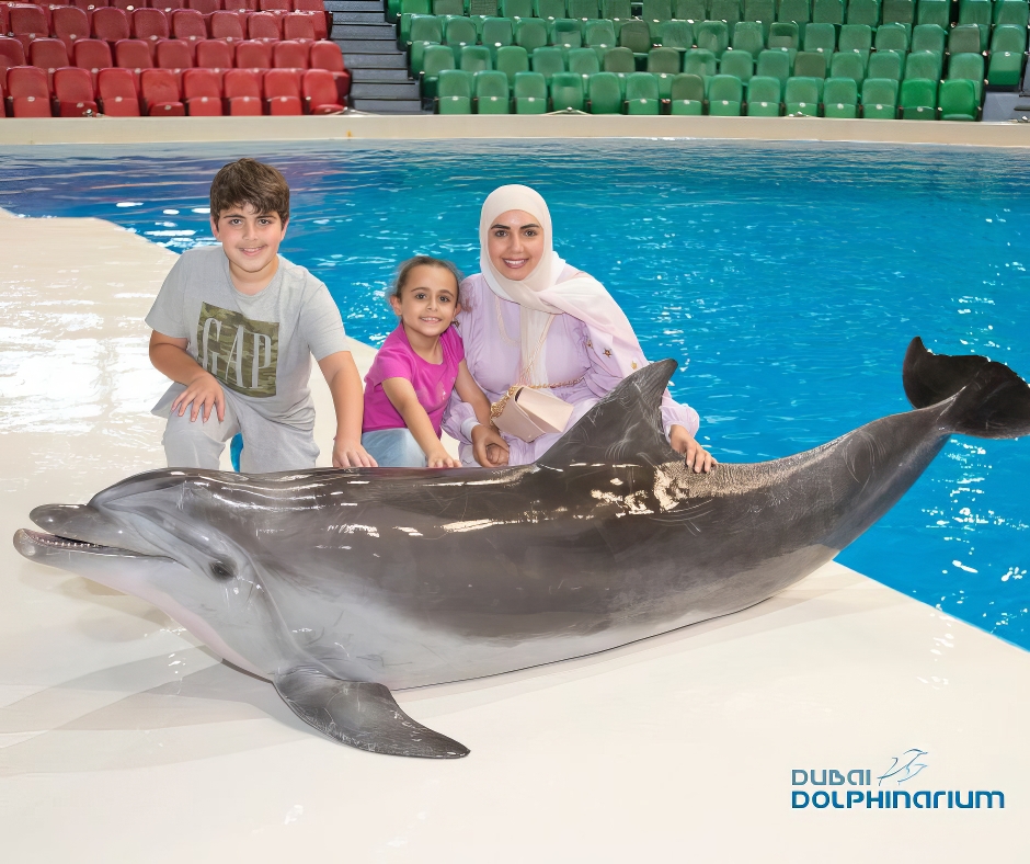 Фотография с Dolphin & Seal Show - Dubai Dolphinarium + The Green Planet Dubai - Combo в Дубай: Галерея фото 34jk8y