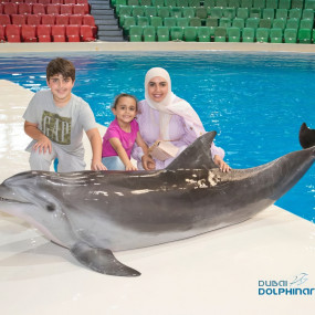 Dolphin & Seal Show - Dubai Dolphinarium + The Green Planet Dubai - Combo в Дубай: Галерея фото 34jk8y Dolphin & Seal Show - Dubai Dolphinarium + The Green Planet Dubai - Combo в Дубай: Галерея фото 34jk8y