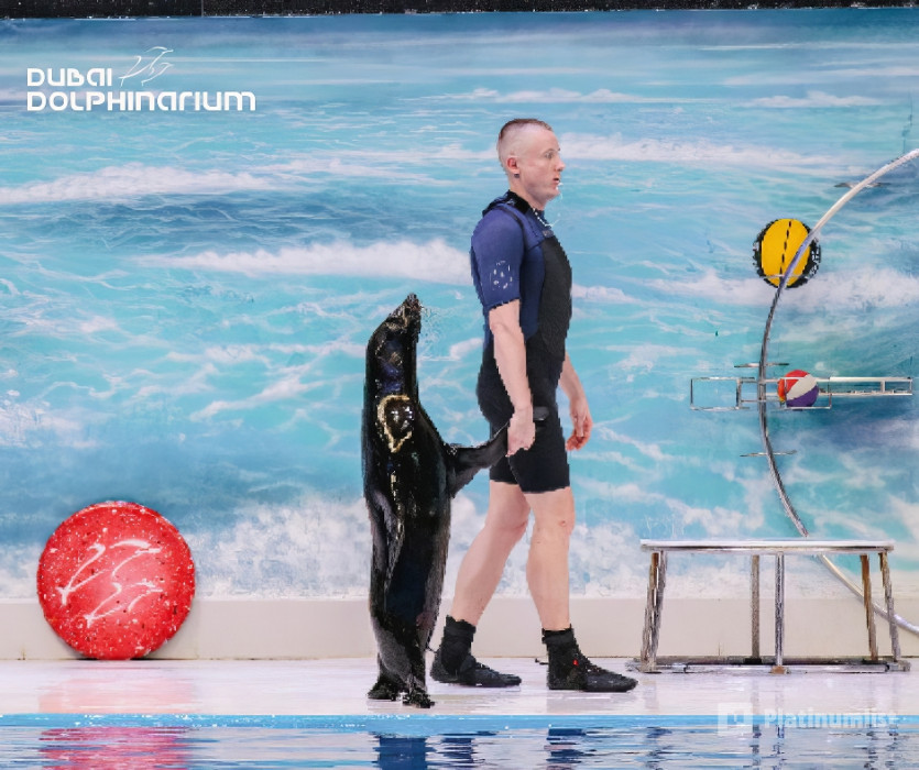 Dolphin & Seal Show - Dubai Dolphinarium + The Green Planet Dubai - Combo в Дубай: Галерея фото 3bj87m