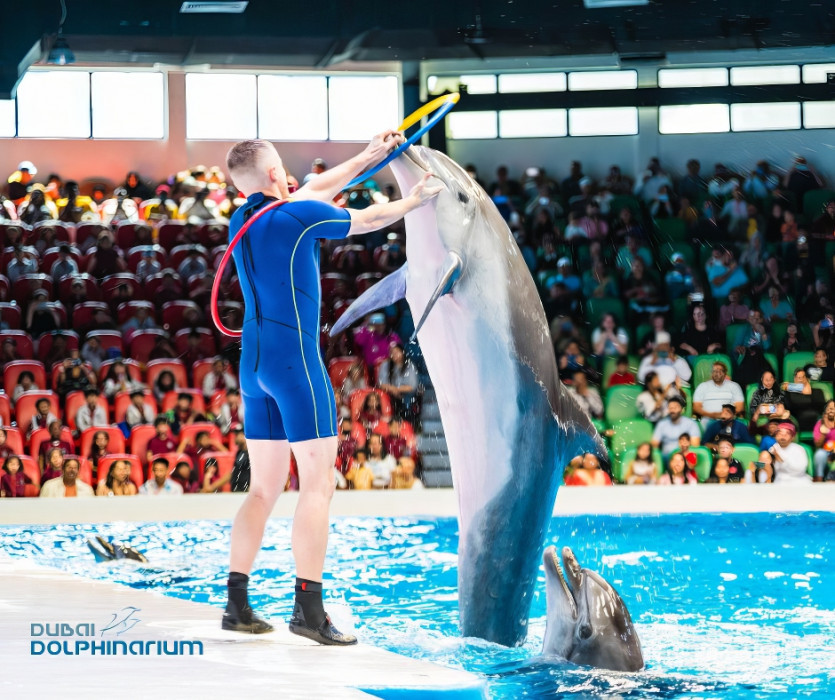 Dolphin & Seal Show - Dubai Dolphinarium + The Green Planet Dubai - Combo в Дубай: Галерея фото zm045y