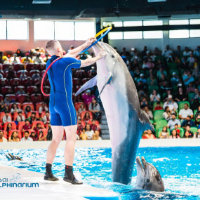 Dolphin & Seal Show - Dubai Dolphinarium + The Green Planet Dubai - Combo в Дубай: Галерея фото zm045y Dolphin & Seal Show - Dubai Dolphinarium + The Green Planet Dubai - Combo в Дубай: Галерея фото zm045y