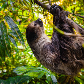Фотография с Dolphin & Seal Show - Dubai Dolphinarium + The Green Planet Dubai - Combo в Дубай: Галерея фото 3qebd8