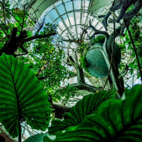 Фотография с Dolphin & Seal Show - Dubai Dolphinarium + The Green Planet Dubai - Combo в Дубай: Галерея фото nke58w