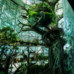 Фотография с Dolphin & Seal Show - Dubai Dolphinarium + The Green Planet Dubai - Combo в Дубай: Галерея фото 3bj8km