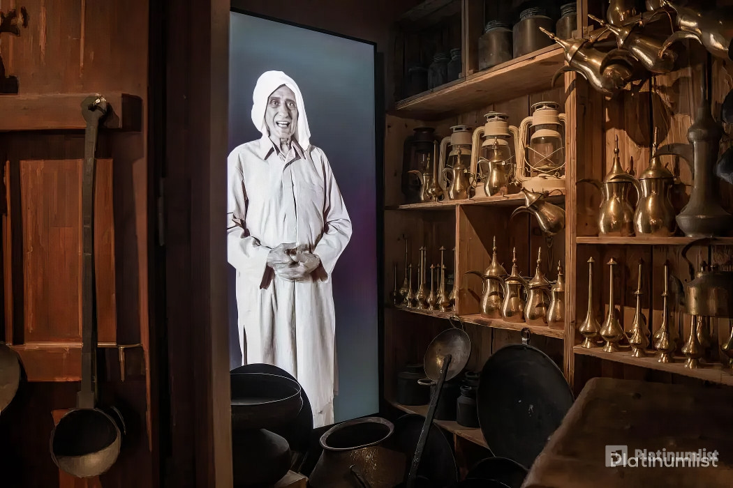 Dubai Frame + Dolphin & Seal Show - Dubai Dolphinarium - Combo in Dubai: Gallery Photo zm04gy