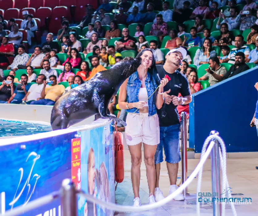 Dubai Frame + Dolphin & Seal Show - Dubai Dolphinarium - Combo in Dubai: Gallery Photo zodojy