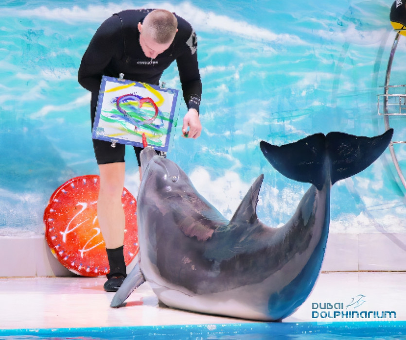Dubai Frame + Dolphin & Seal Show - Dubai Dolphinarium - Combo in Dubai: Gallery Photo 3j5k4y