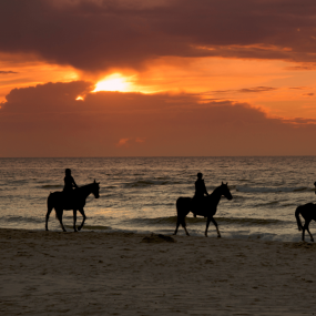 n154qj استديو الصور :جدة في تجربة ركوب الخيل في جدة n154qj استديو الصور :جدة في تجربة ركوب الخيل في جدة