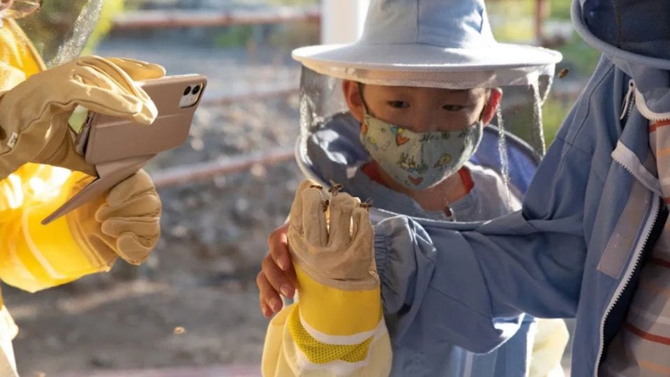 Photo de Hatta Honeybee Garden Discovery Tour dans Dubai : Galerie Photo 35yyog