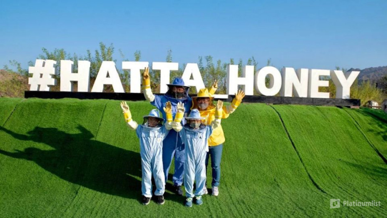 Hatta Honeybee Garden Discovery Tour in Dubai: Gallery Photo n266g4