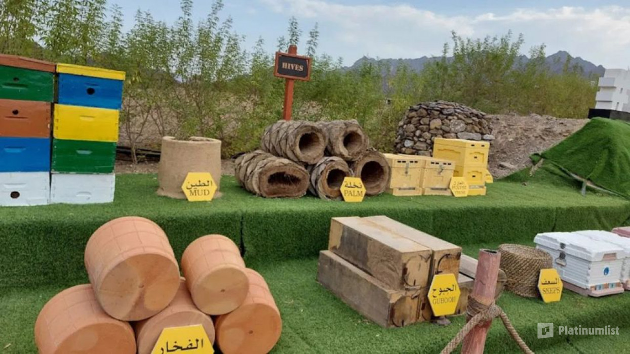 Hatta Honeybee Garden Discovery Tour in Dubai: Gallery Photo n155pb