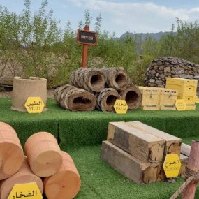 Hatta Honeybee Garden Discovery Tour in Dubai: Gallery Photo n155pb