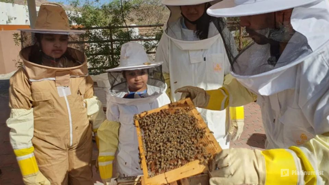 Hatta Honeybee Garden Discovery Tour in Dubai: Gallery Photo 3d77gy