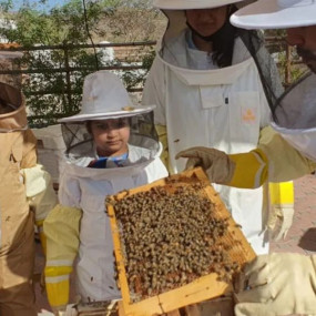 Hatta Honeybee Garden Discovery Tour in Dubai: Gallery Photo 3d77gy