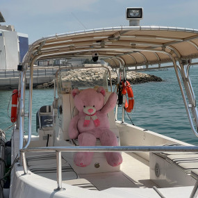 Photo from جولة عائلية خاصة بالقارب إلى جزيرة الدار in المنامة: Gallery Photo zm0046