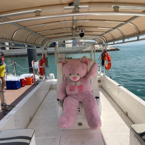 Photo from جولة عائلية خاصة بالقارب إلى جزيرة الدار in المنامة: Gallery Photo n0vv8p