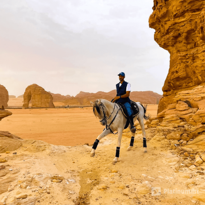 Horse Riding in Al Ula in Jeddah: Gallery Photo z7xxxw