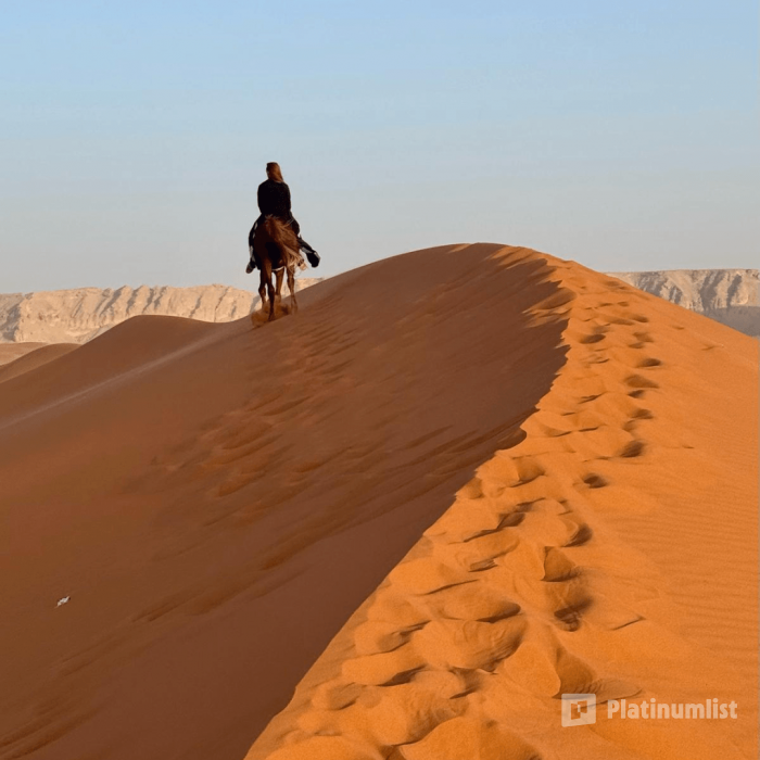 Horse Riding in Riyadh в Эр-Рияд: Галерея фото n155od