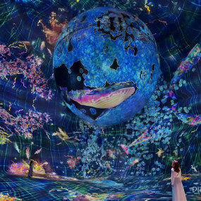 TeamLab Phenomena Abu Dhabi in Abu Dhabi: Gallery Photo 35yy9m TeamLab Phenomena Abu Dhabi in Abu Dhabi: Gallery Photo 35yy9m